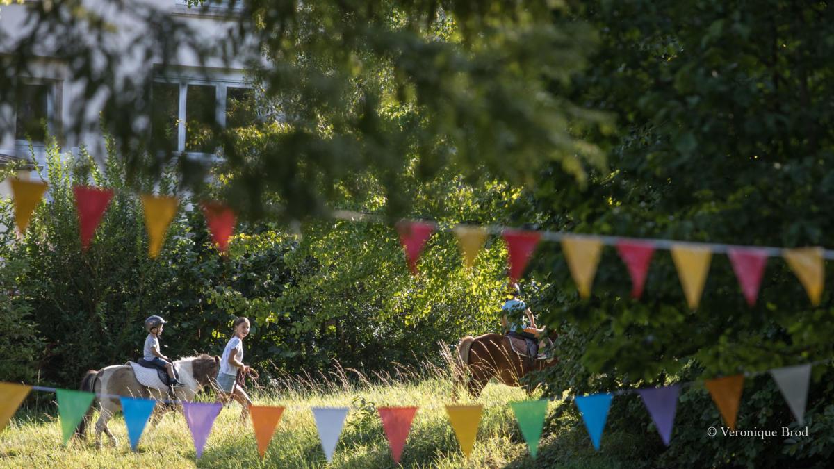 vbrod .20 09 13 avoldoiseauAbeilles-1593